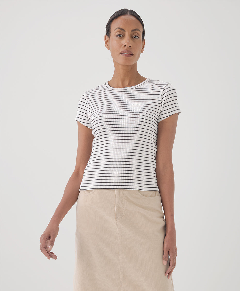 Chic Stripe