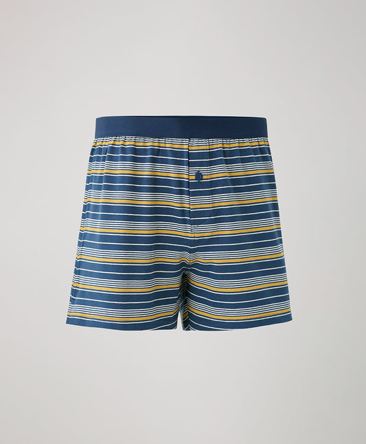 Cerveza Stripe